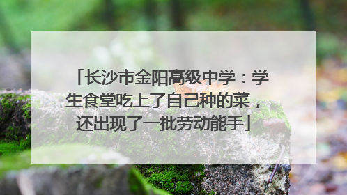 长沙市金阳高级中学：学生食堂吃上了自己种的菜，还出现了一批劳动能手