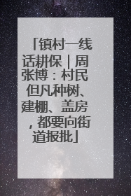 镇村一线话耕保｜周张博：村民但凡种树、建棚、盖房，都要向街道报批