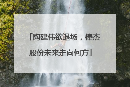 陶建伟欲退场，棒杰股份未来走向何方