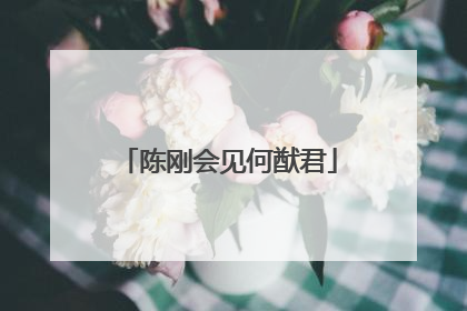 陈刚会见何猷君