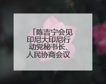 陈吉宁会见印尼大印尼行动党秘书长、人民协商会议主席穆扎尼