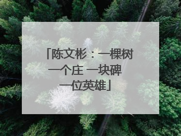 陈文彬：一棵树 一个庄 一块碑 一位英雄