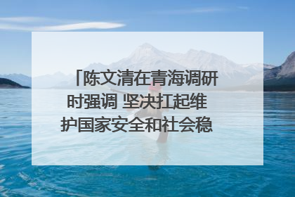 陈文清在青海调研时强调 坚决扛起维护国家安全和社会稳定职责使命 为谱写中国式现代化青海篇章贡献政法力量