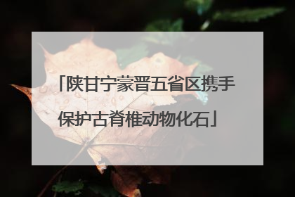 陕甘宁蒙晋五省区携手保护古脊椎动物化石