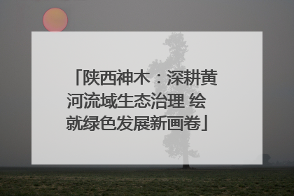 陕西神木：深耕黄河流域生态治理 绘就绿色发展新画卷