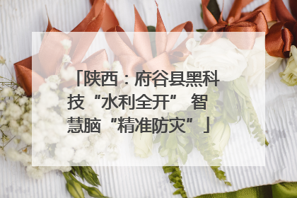 陕西：府谷县黑科技“水利全开” 智慧脑“精准防灾”
