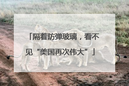隔着防弹玻璃，看不见“美国再次伟大”