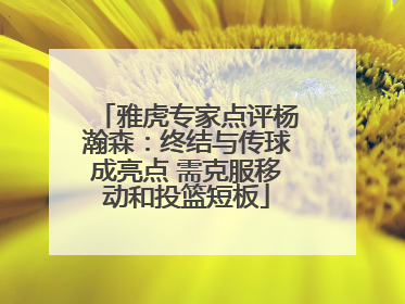 雅虎专家点评杨瀚森：终结与传球成亮点 需克服移动和投篮短板