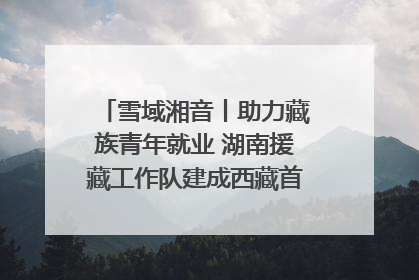 雪域湘音丨助力藏族青年就业 湖南援藏工作队建成西藏首个清洁能源装备园