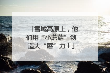 雪域高原上，他们用“小蘑菇”创造大“蘑”力！
