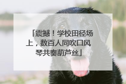 震撼！学校田径场上，数百人同吹口风琴共奏葫芦丝