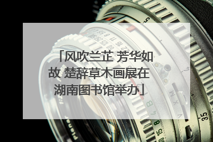 风吹兰芷 芳华如故 楚辞草木画展在湖南图书馆举办