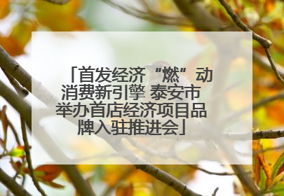 首发经济“燃”动消费新引擎 泰安市举办首店经济项目品牌入驻推进会
