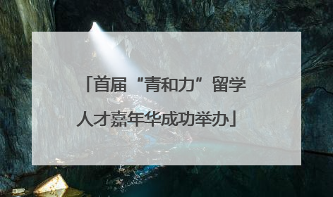 首届“青和力”留学人才嘉年华成功举办