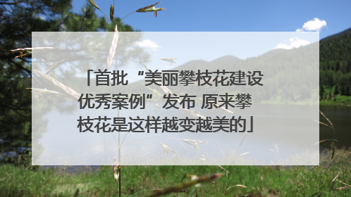 首批“美丽攀枝花建设优秀案例”发布 原来攀枝花是这样越变越美的