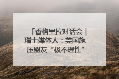 香格里拉对话会｜瑞士媒体人：美国施压盟友“极不理性” 欧洲国家无意与中国“脱钩断链”