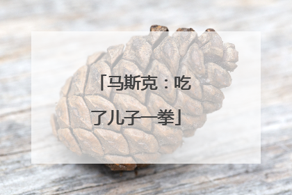 马斯克:吃了儿子一拳