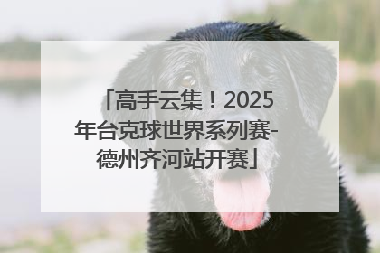 高手云集！2025年台克球世界系列赛-德州齐河站开赛