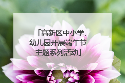 高新区中小学、幼儿园开展端午节主题系列活动