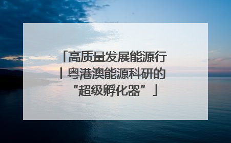 高质量发展能源行丨粤港澳能源科研的“超级孵化器”