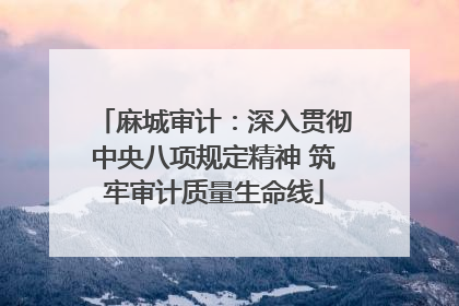 麻城审计：深入贯彻中央八项规定精神 筑牢审计质量生命线