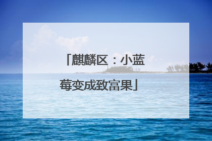 麒麟区：小蓝莓变成致富果