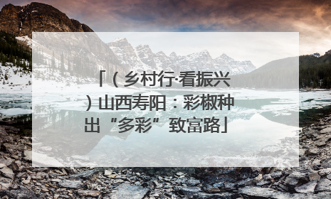 （乡村行·看振兴）山西寿阳：彩椒种出“多彩”致富路