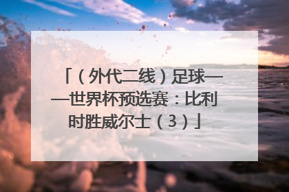 （外代二线）足球——世界杯预选赛：比利时胜威尔士（3）