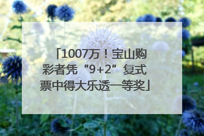 1007万！宝山购彩者凭“9+2”复式票中得大乐透一等奖