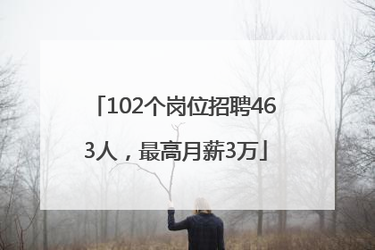 102个岗位招聘463人，最高月薪3万