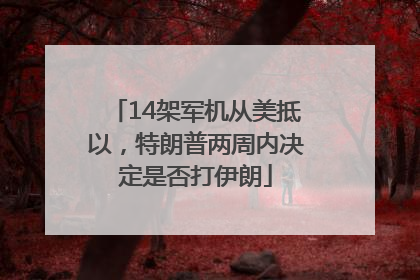 14架军机从美抵以，特朗普两周内决定是否打伊朗
