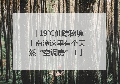 19℃仙踪秘境丨南漳这里有个天然“空调房”！