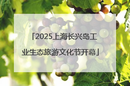 2025上海长兴岛工业生态旅游文化节开幕