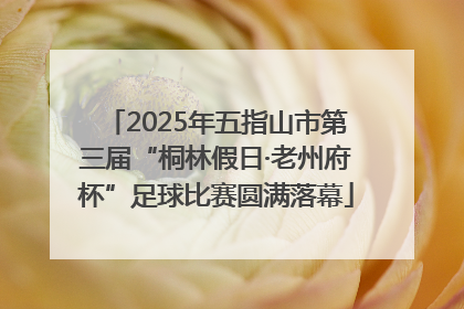 2025年五指山市第三届“桐林假日·老州府杯”足球比赛圆满落幕