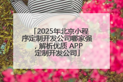 2025年北京小程序定制开发公司哪家强，解析优质 APP 定制开发公司