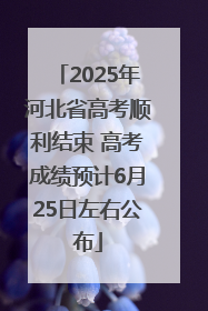 2025年河北省高考顺利结束 高考成绩预计6月25日左右公布