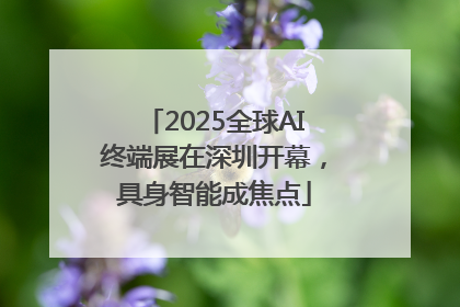 2025全球AI终端展在深圳开幕，具身智能成焦点