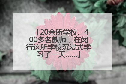 20余所学校、400多名教师，在闵行这所学校沉浸式学习了一天……