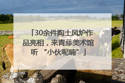 30余件陶土风炉作品亮相，来青藤美术馆听 “小伙呢喃”