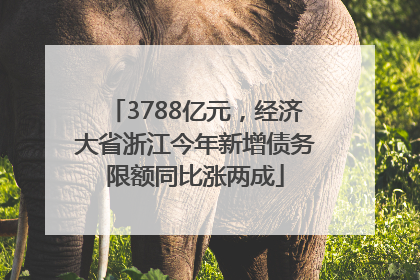3788亿元，经济大省浙江今年新增债务限额同比涨两成