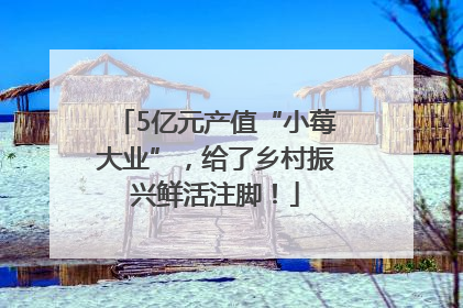 5亿元产值“小莓大业”，给了乡村振兴鲜活注脚！