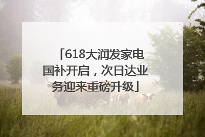 618大润发家电国补开启，次日达业务迎来重磅升级