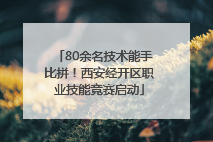 80余名技术能手比拼！西安经开区职业技能竞赛启动