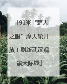 91米“楚天之眼”摩天轮开放！刷新武汉观景天际线