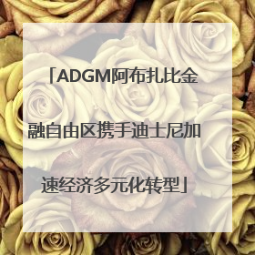 ADGM阿布扎比金融自由区携手迪士尼加速经济多元化转型