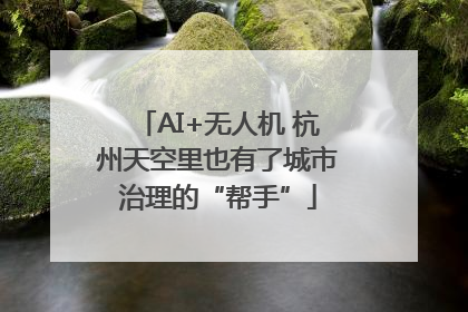 AI+无人机 杭州天空里也有了城市治理的“帮手”