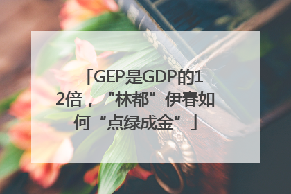 GEP是GDP的12倍，“林都”伊春如何“点绿成金”