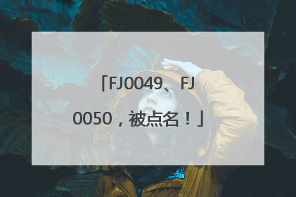 FJ0049、FJ0050，被点名！