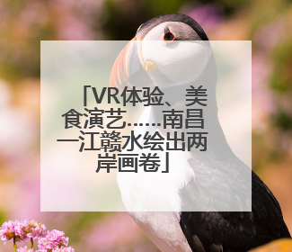 VR体验、美食演艺……南昌一江赣水绘出两岸画卷