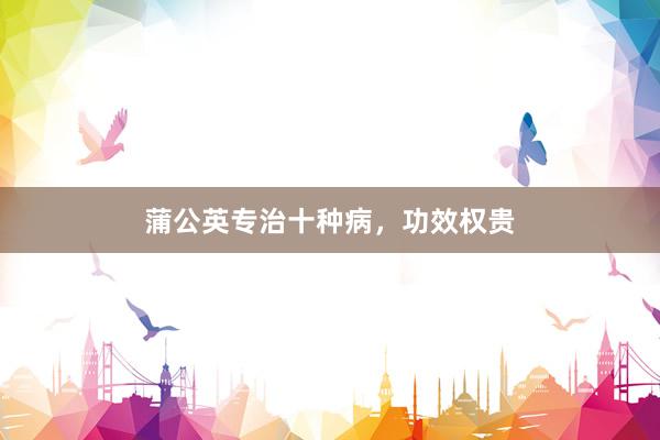 蒲公英专治十种病，功效权贵